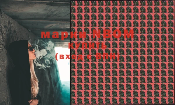 стафф Лабытнанги