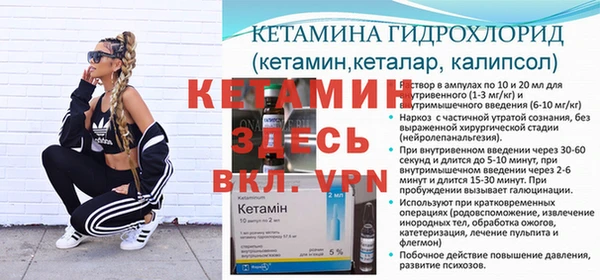 сатива Лагань
