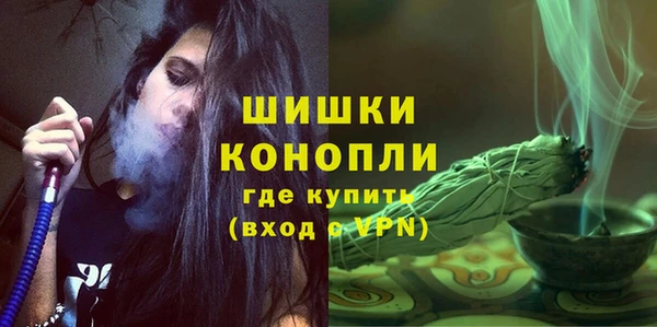 сатива Лагань