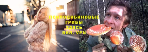 соль ск Ладушкин