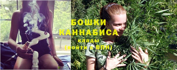 сатива Лагань