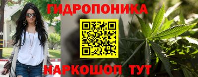 стаф Жуковский
