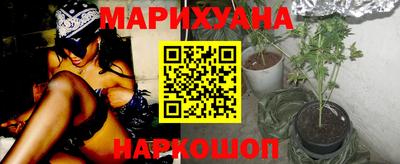 стаф Жуковский