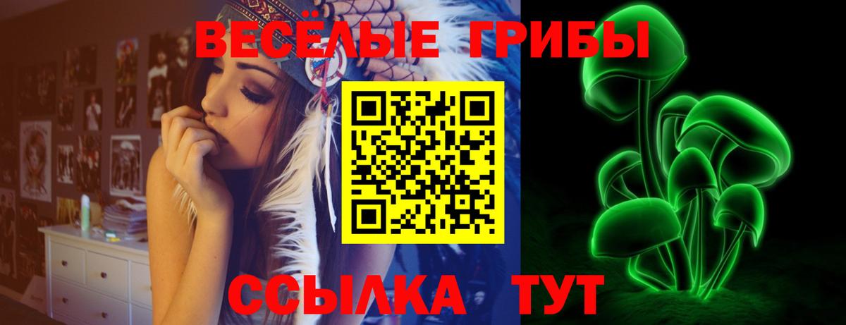 Луга  Псилоцибиновые грибы Psilocybine cubensis  Вход с VPN  Псилоцибиновые грибы Cubensis 
