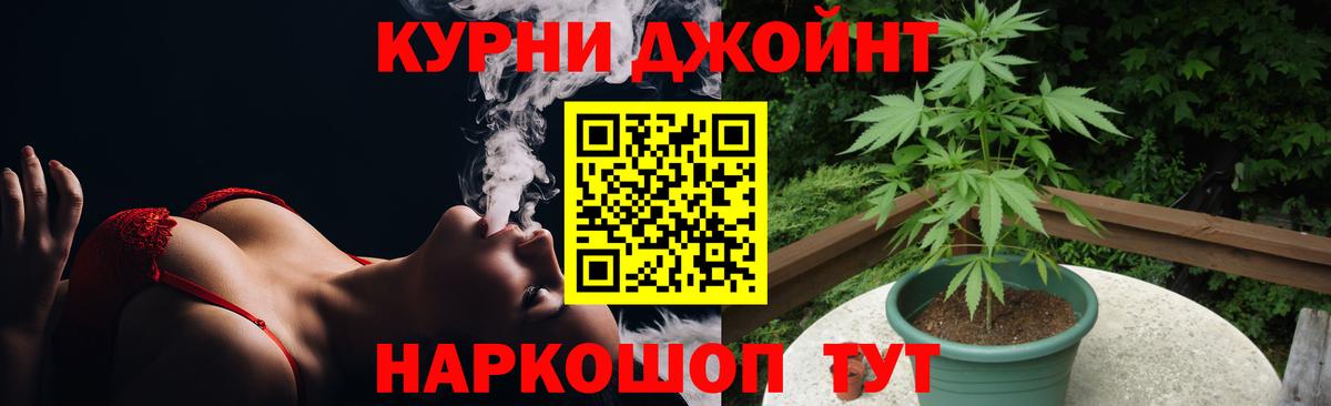 Канабис семена  Вход с VPN  Конопля White Widow  Канабис семена  Луга 